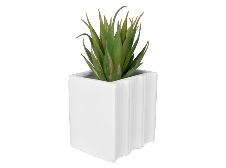 Bisque Book Worm Container (Case of 6)