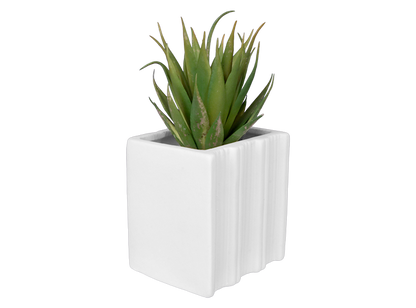 Bisque Book Worm Container (Case of 6)