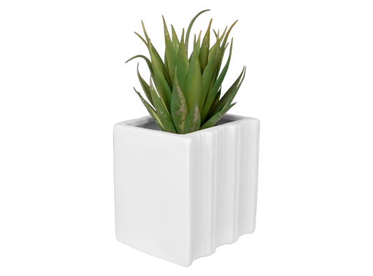 Bisque Book Worm Container (Case of 6)