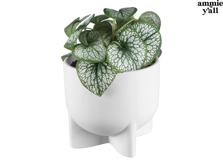 Bisque Modern Footed Container (Case of 4)