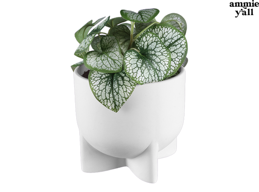 Bisque Modern Footed Container (Case of 4)