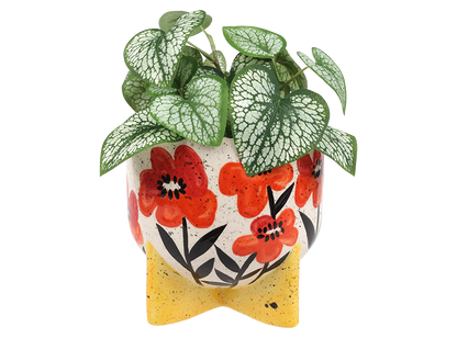 Bisque Modern Footed Container (Case of 4)