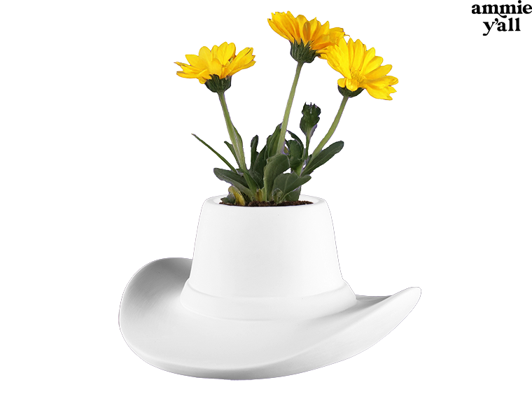 Bisque Cowboy Hat Container (Case of 4)