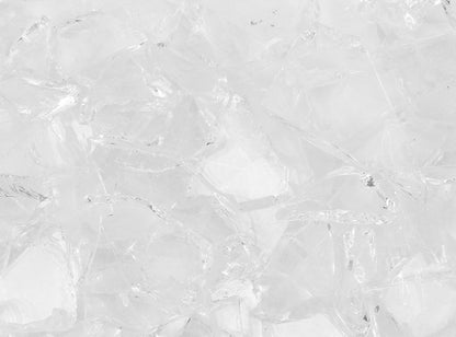 Clear Transparent Buffalo Chips (Case of 1)