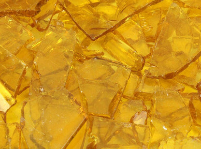 Yellow Transparent Buffalo Chips (Case of 1)