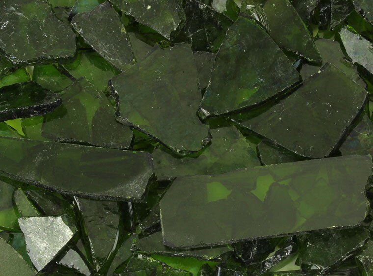 Moss Green Transparent Buffalo Chips (Case of 1)