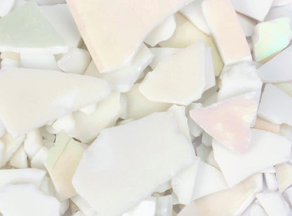 White Iridescent Buffalo Chips (Case of 1)