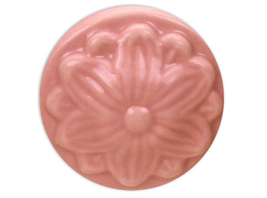 Lollipop 16 Oz (Case of 1)