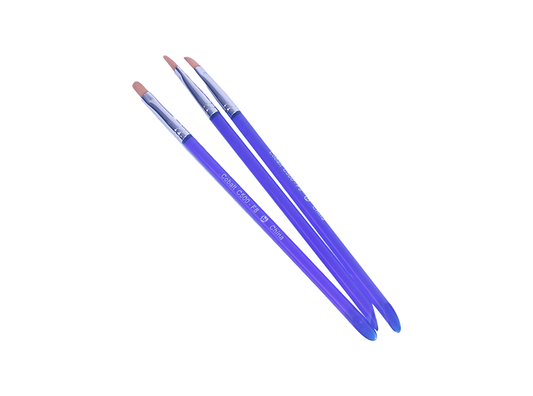 Cobalt Filbert - 8 (Case of 3)