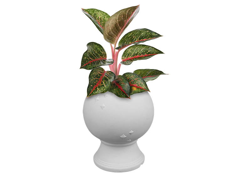 Bisque Crystal Ball Planter (Case of 2)