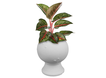 Bisque Crystal Ball Planter (Case of 2)