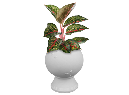 Bisque Crystal Ball Planter (Case of 2)