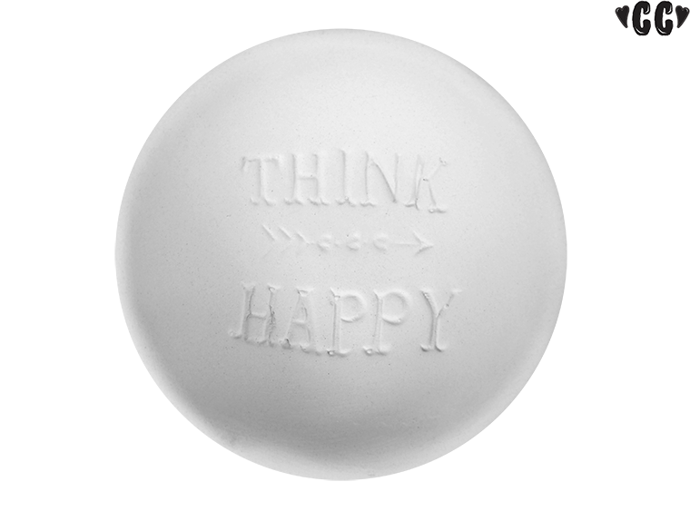Bisque Think Happy Dish (Case of 12)