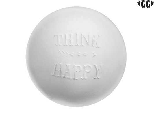Bisque Think Happy Dish (Case of 12)