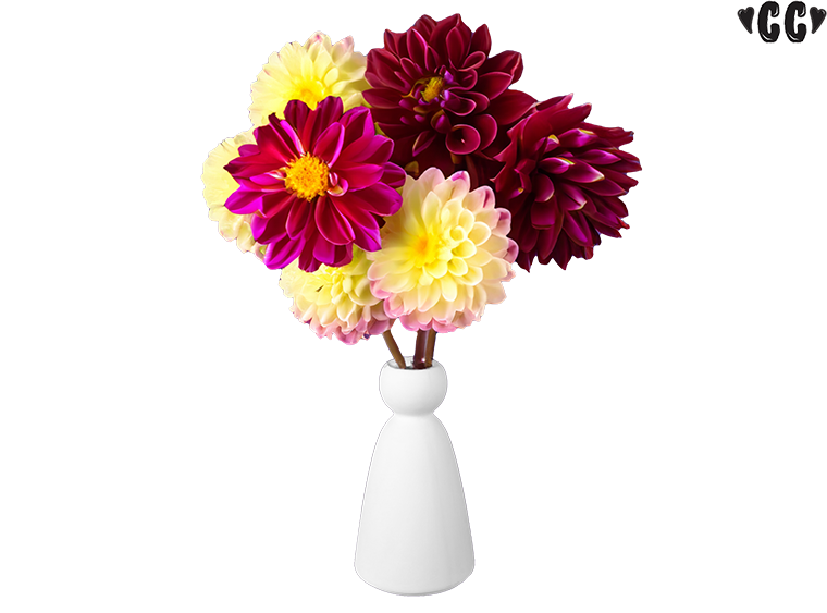 Bisque Peg Vase (Case of 4)