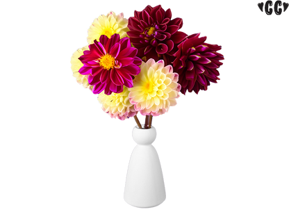 Bisque Peg Vase (Case of 4)