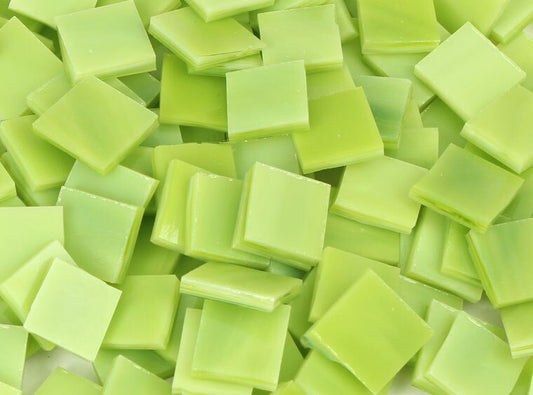 Lime Green/White Bits (Case of 1)
