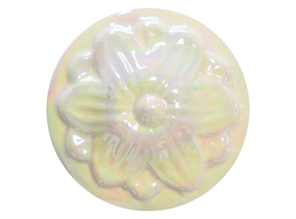 Mother Of Pearl 25g (Case of 1)