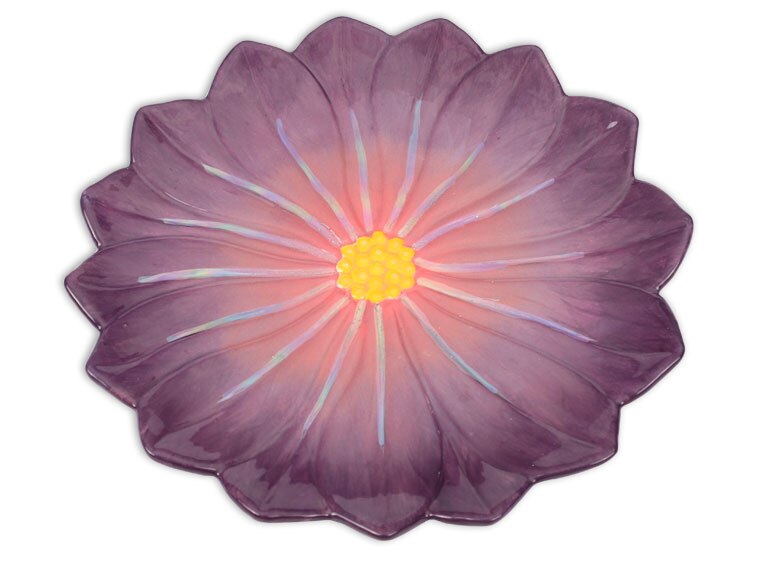 Mother Of Pearl 25g (Case of 1)