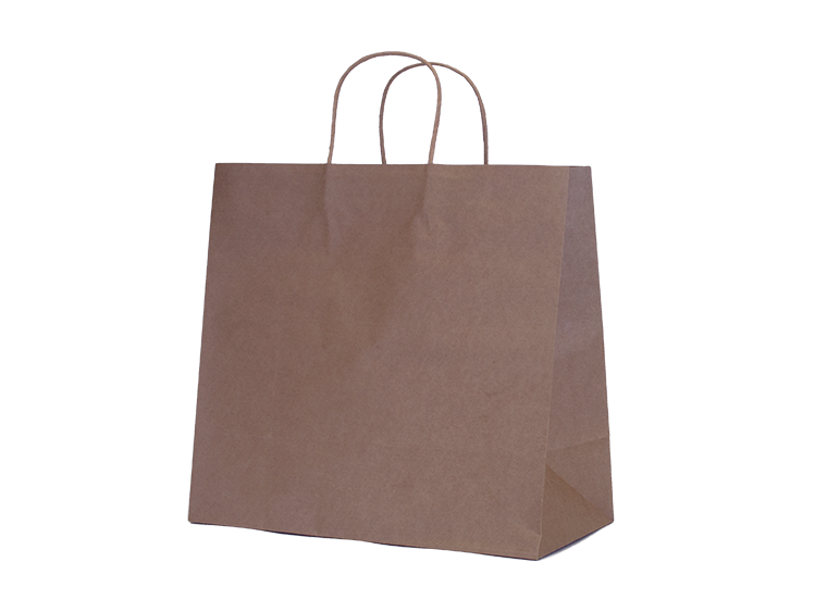 Large Kraft Paper Bag (Case of 200)