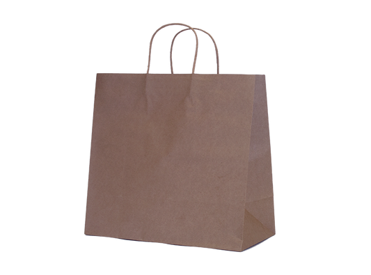 Large Kraft Paper Bag (Case of 200)