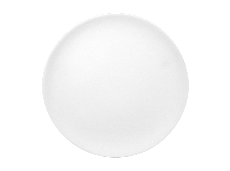 Bisque Coupe Dinner Plate (Case of 12)