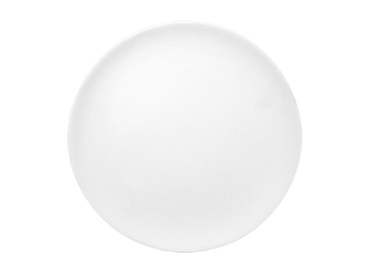 Bisque Coupe Dinner Plate (Case of 12)