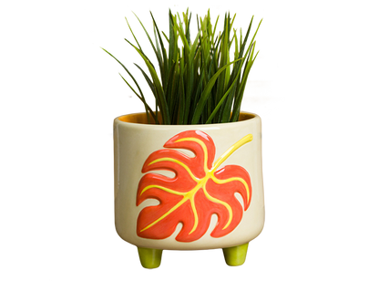 Bisque Monstera Footed Container (Case of 2)
