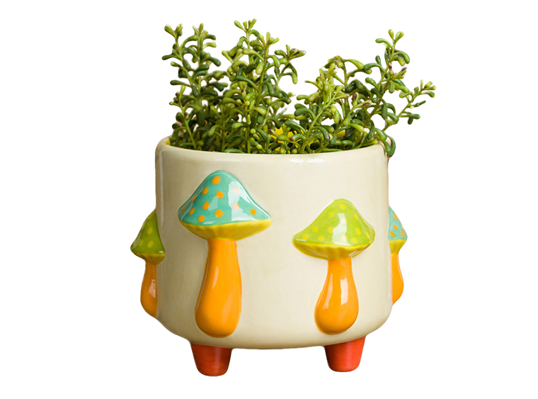 Bisque Mushrooms Footed Container (Case of 2)