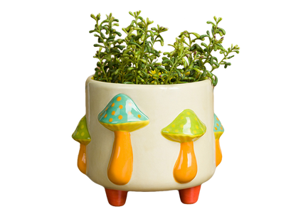 Bisque Mushrooms Footed Container (Case of 2)