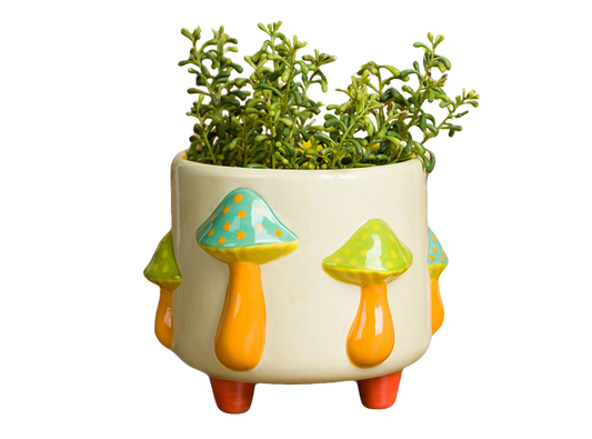 Bisque Mushrooms Footed Container (Case of 2)