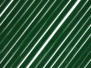 Dark Green Transparent Noodles (Case of 1)