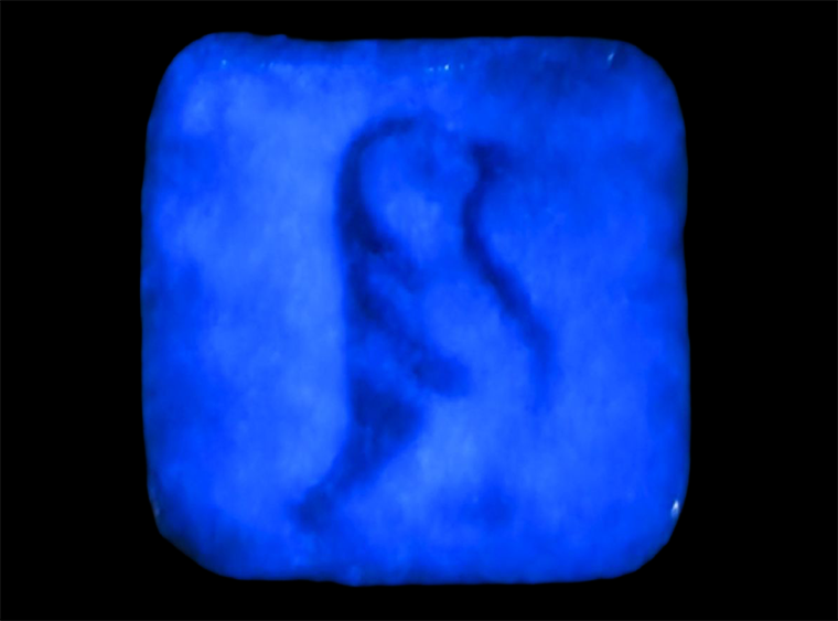 Blue Glow In The Dark - 4 Ounces (Case of 1)