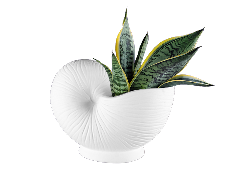 Bisque Stoneware Nautilus Shell Planter (Case of 1)
