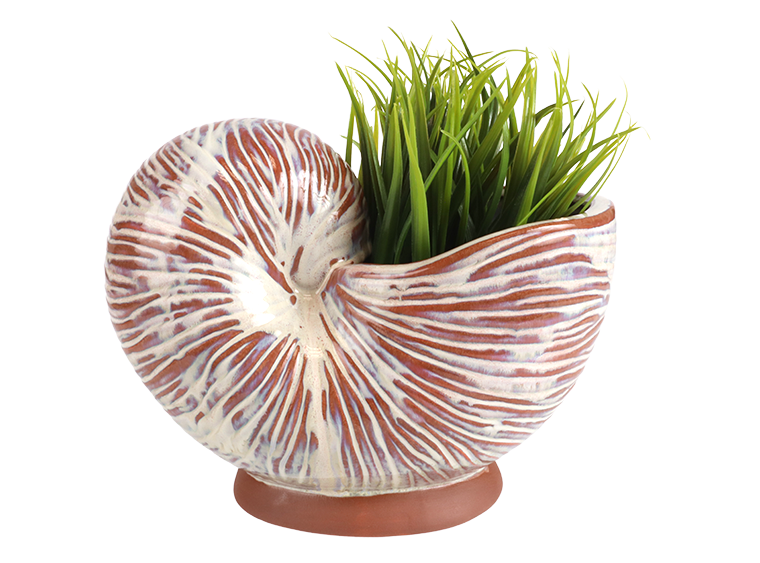Bisque Stoneware Nautilus Shell Planter (Case of 1)
