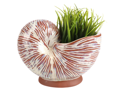 Bisque Stoneware Nautilus Shell Planter (Case of 1)