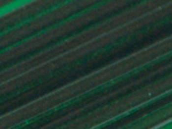 Dark Green Glass Transparent Stringers (Case of 1)