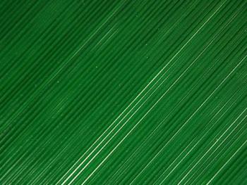 Dark Green Stringer (Case of 1)