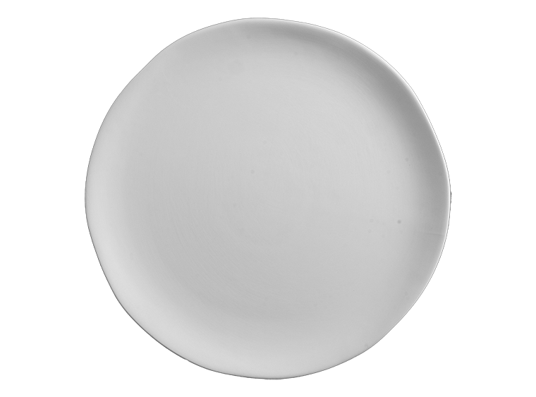 Bisque Stoneware Organic Dinner Plate (Case of 4)