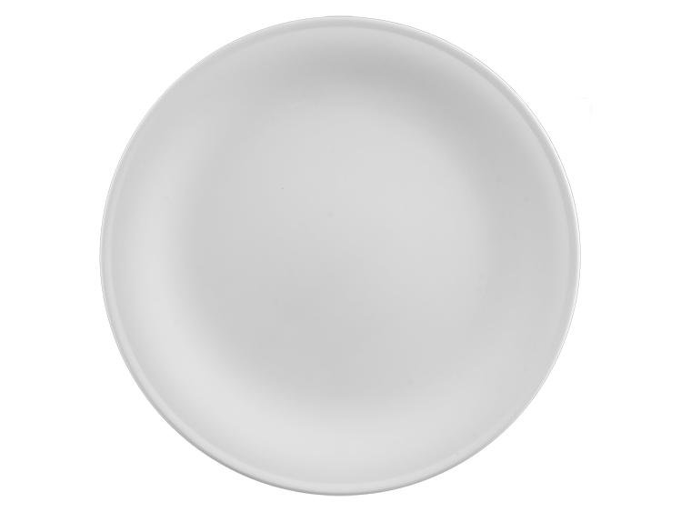 Bisque Stoneware Harmony Dinner Plate (Case of 4)