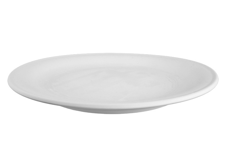Bisque Stoneware Harmony Dinner Plate (Case of 4)