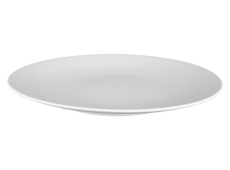 Bisque Stoneware Willow Dinner Plate (Case of 4)