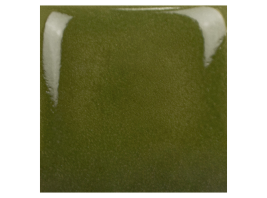 Army Surplus 16 Ounces (Case of 1)