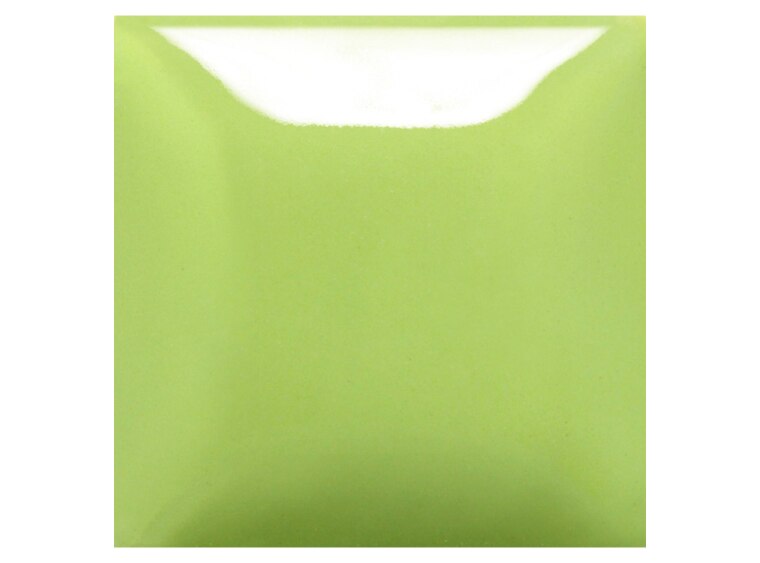 Slime Time - 8 Ounce (Case of 1)