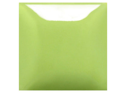 Slime Time 16 Ounces (Case of 1)