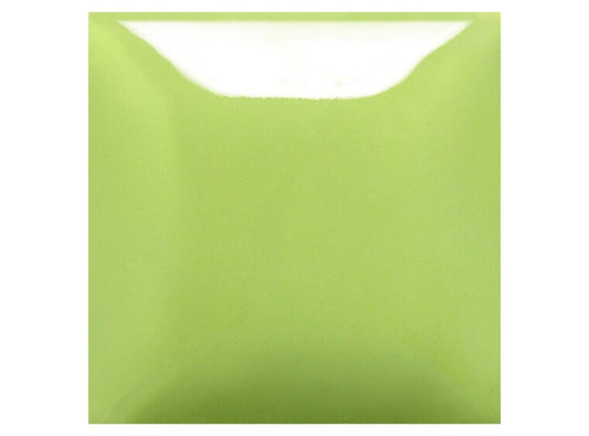 Slime Time 16 Ounces (Case of 1)