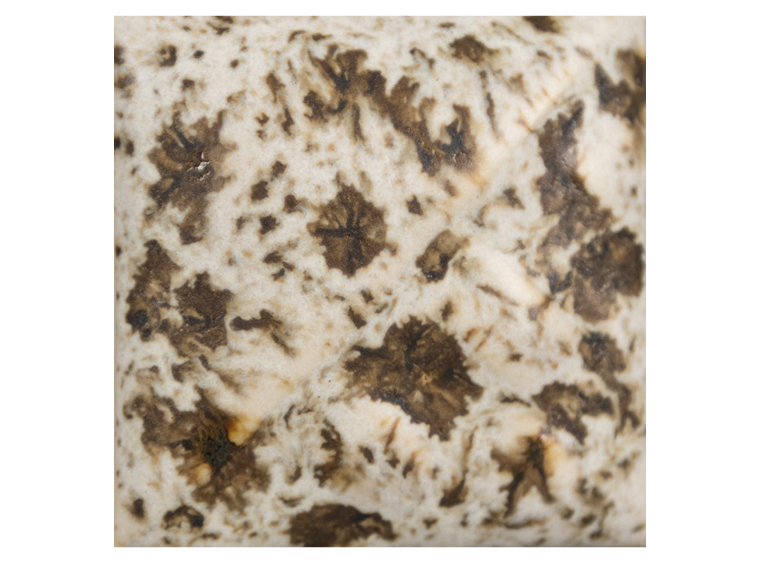 Winter Wood Dry (Case of 1)