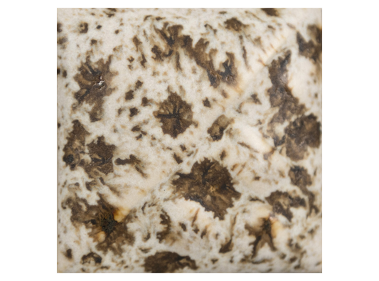 Winter Wood Dry (Case of 1)