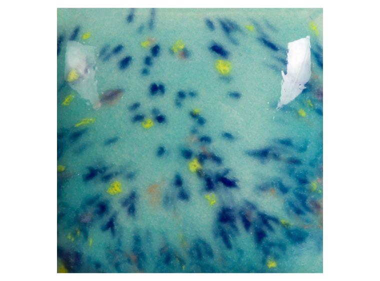 Speckled Jaded 16 Ounces (Case of 1)
