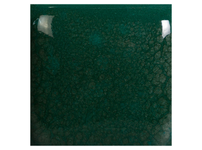 Speckled Teal Next Time 8 Ounces (Case of 1)